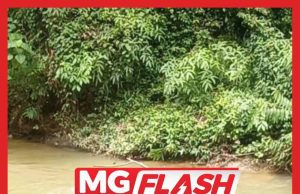 Mayat Orang Asli Lemas Dijumpai Tersangkut Pada Dahan Pokok #MGFlash