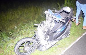 Wanita maut rempuh kerbau di Kuala Terengganu