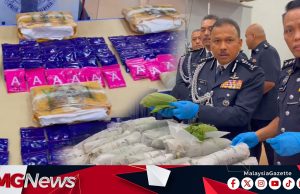 Lagi Kes Pil Kuda, Ketum Di Kelantan! Wanita 60 Tahun Antara Ditahan Polis