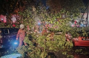 Dua kereta dihempap pokok tumbang di Taman Free School