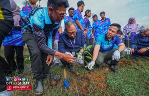 Pelajar baharu UMT tanam pokok bakau pada minggu orientasi