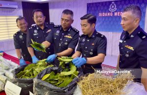 Polis bongkar sindiket jual ketum sorok dalam jerami