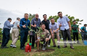 Exco Sains, Alam Sekitar dan Teknologi Hijau Perak, Teh Kok Lim menyempurnakan acara penanaman anak pokok hutan hujan sempena program Green Tech Perak 2025 di Bulatan Sultan Azlan Shah, Meru, pada Sabtu. Foto ANIQ NABILAFIQ ANUAR, 25 OKTOBER 2025.