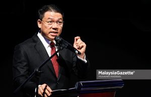 DAP alu-alukan pengumuman PM