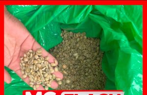 Cubaan Seluduh 60 Kg Biji Kopi Di Bukit Kayu Hitam Dipatahkan AKPS #MGFlash