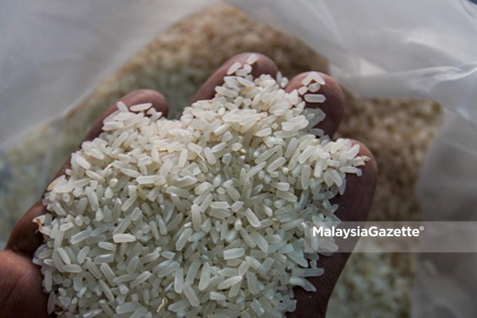 beras putih tempatan