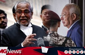 Jasmine Loo Individu Tak Boleh Dipercayai – Peguam Shafee