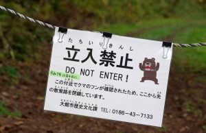 ‘Almost every day’: Japan battles spike in bear attacks