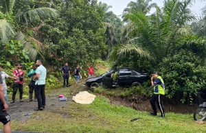 Pemotong rumput maut dilanggar kereta elak haiwan melintas