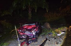 Wanita maut selepas kereta langgar pokok kelapa sawit
