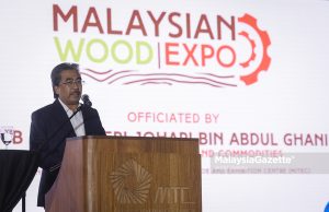 Eksport kayu terus kukuh, Malaysia kekal hutan melebihi 50%