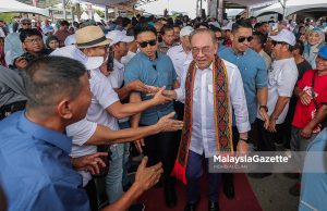 PMX lebih faham, lebih fokus isu MA63, kata pengundi muda Sabah