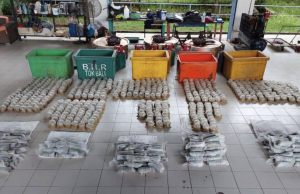 Pusat pemprosesan ketum diserbu, lelaki ditahan PGA