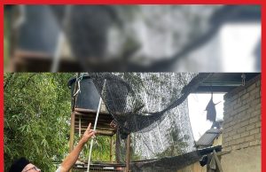 Penduduk Rantau Panjang Masih Trauma, Tidur Tak Lena Risau Banjir #MGFlash