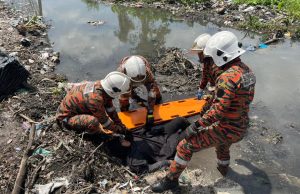 Wanita terperangkap di paya diselamatkan selepas bomba terserempak keluarga mangsa