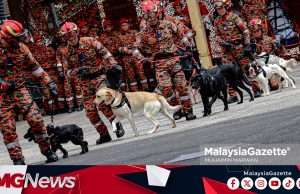 Unit Pengesan K9 Di Bertam Mula Beroperasi Awal 2029, Siasatan Lebih Pantas