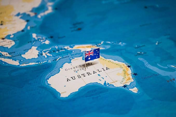 shark-australia