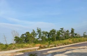 Bahan kimia tumpah atas jalan di Kawasan Perindustrian Tanjung Langsat