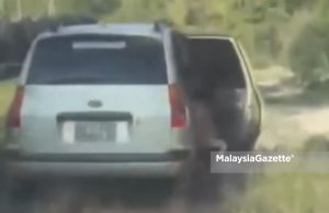 Polis buru suspek curi lembu guna MPV di Pekan