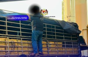 KPDN Kelantan sita 8 tan minyak masak subsidi