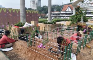 6 pokok berisiko sekitar Jalan Raja Laut ditebang – DBKL