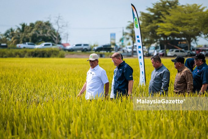 PENGISYTIHARAN VARETI PADI CLEARFIELD MARDI