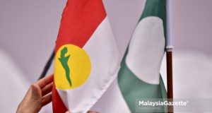 Muafakat Nasional