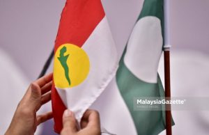 Hidupkan semula MN bukan isu besar buat PH – Norman Muafakat Nasional