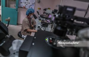 Why IVF success depends on more than clinics and technology