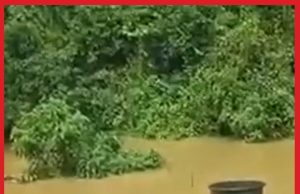 Pelajar Berenang Redah Banjir Ambil SPM Disahkan Selamat #MGFlash