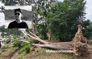 Penunggang Grab maut dihempap pokok sedang kumpul duit untuk kahwin