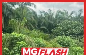 Disebabkan Telefon, Porsche Panamera Terbang Masuk Parit #MGFlash