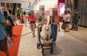 Walking the talk on Pet Policy: Consistency matters in Selangor