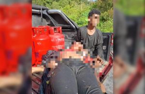 Lelaki cari hasil hutan cedera diserang gajah liar
