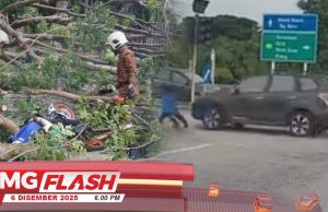 Lelaki Maut Dihempap Pokok Tumbang • Budak Naik Basikal Lajak Gaya Superman Tular #MGFlash
