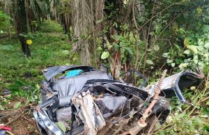 Pemandu maut rempuh pokok sawit