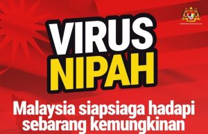 Tiada wabak virus Nipah dilaporkan di negara ini sejak 1999 – KKM