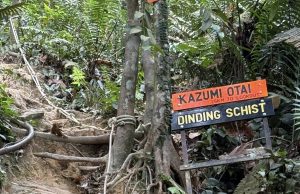 Bukit Dinding: Talian hayat terakhir Wangsa Maju