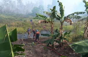 Keadaan belum terkawal, pengeboman air diguna padam kebakaran tanah gambut
