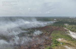 Kes kebakaran terbuka di Malaysia melonjak 300 peratus Kebakaran hutan