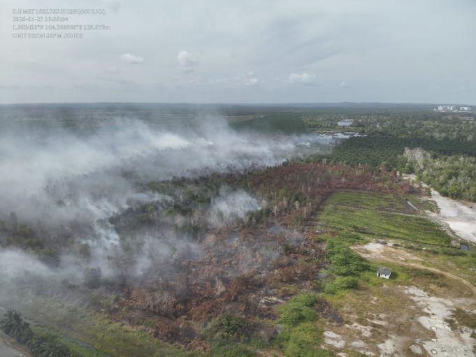 Kebakaran hutan