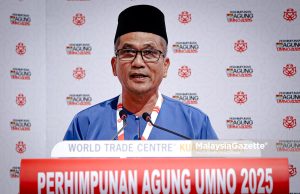 UMNO mesti bina kekuatan sendiri, tak boleh tunggu talian hayat pihak lain