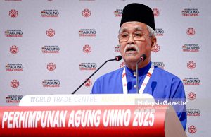 UMNO Pulau Pinang gesa persempadanan semula lindungi Parlimen Melayu