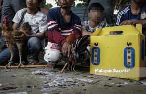Sarang Judi Sabung Ayam Kena Serbu #PDRM