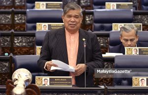 Wabak ASF: Selangor jadi negeri paling terjejas, 76,000 babi dilupuskan