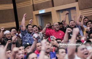 Sudah tiba masa UMNO-Pas suburkan semula Muafakat Nasional – Dr Akmal