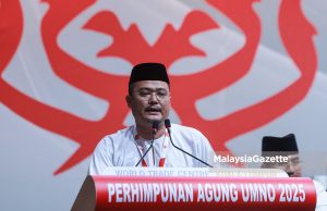 Penjenamaan semula UMNO mampu raih keyakinan rakyat