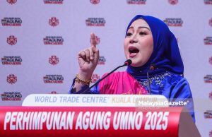 Puteri UMNO sudah penat gesa naikkan had umur 40 tahun