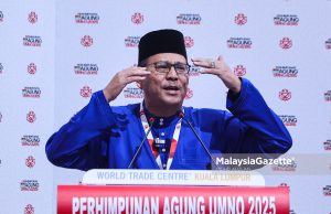 Pemimpin UMNO jangan seronok dengan jawatan menteri, tapi abai akar umbi