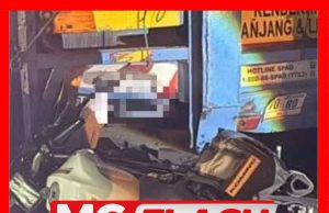 Lelaki Maut, Isteri Dan Bayi Parah Motosikal Dinaiki Terbabas Dikejar Anjing #MGFlash